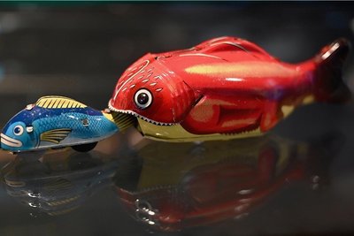 Die mechanischen Fische wurden in den 1960er-Jahren in Japan unter dem Namen "Magic Fish" entwickelt.