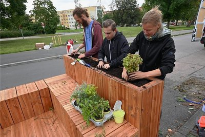 Und grün muss es sein: Bjarne, Nick Arnold und Nora (von links) beim Bepflanzen der Seitenteile des Stadtmöbels.