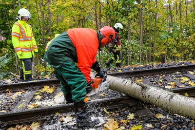 Einsatzkräfte der Feuerwehr Aue rückten an, um den Baum auf den Gleisen zu entfernen.