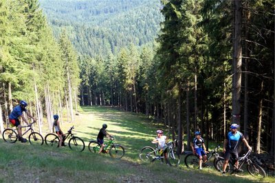 Drei Mountainbike-Strecken können am Kegelberg befahren werden – auch für Anfänger sind diese geeignet.