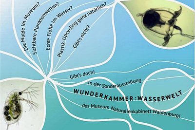 Das Plakat zur Sonderausstellung.
