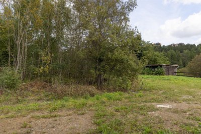 Das für den Pumptrack vorgesehene Gelände macht einen ziemlich verwilderten Eindruck.