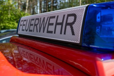 Nur wenige Male mussten Feuerwehren wegen umgestürzter Bäume im Vogtland ausrücken.