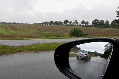 Neben der Seiferitzer Allee in Meerane ist ein Gewerbegebiet geplant. 