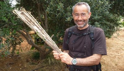 
              <p class="artikelinhalt">Sieben gerettete Vögel, rund 30 entschärfte Klebefallen, da freute sich Dino Mensi. Doch kurz nach Entstehen dieser Aufnahme lag der italienische Vogelschützer von Wilderern zusammengeschlagen in der Klinik. </p>
            