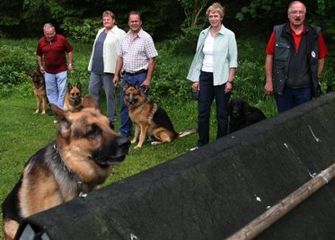 Schäferhund 