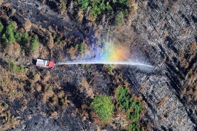 Löscheinsatz im Nationalpark Sächsische Schweiz Anfang August vorigen Jahres. Die bei der Bekämpfung des katastrophalen Waldbrandes gesammelten Erfahrungen flossen mit in den Gesetzentwurf ein. 