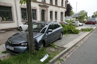 82-Jähriger fällt Baum bei Unfall - 