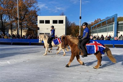 Weil Islandpferde so gelassene Zeitgenossen sind, reiten sie gern über Eis, was für andere Rassen zu aufregend wäre.