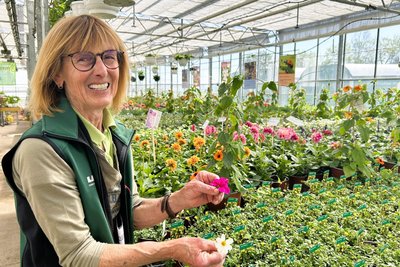 Karin Weißbach zeigt den Unterschied zwischen insektenfreundlichen Blüten, bei denen der Nektar für Insekten leicht zugänglich ist (vorne im Bild), und eher geschlossenen Blüten.