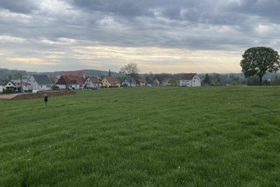 Alles noch grüne Wiese – Anfang Juni soll die Erschließung des Gebiets zwischen Hauptmannsgrüner Straße und Bahnhofstraße beginnen.