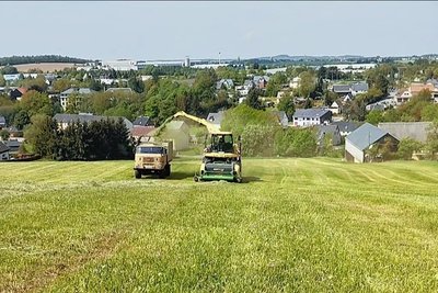 Der Landwirt Dominik Fritzsch hat extra den Nöbelberg mähen lassen - normalerweise weiden dort die Kühe - damit der Abwurf von 250 Teddys über Niederdorf zum Kindertag klappt. 