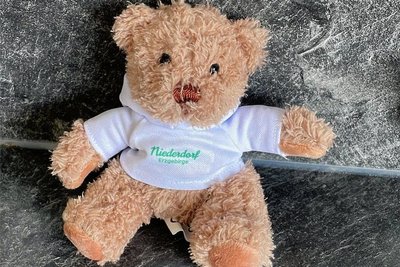 Dieser Teddy ist einer von 250 Stück, die zum Kindertag vom Teddy-Bomber über Niederdorf abgeworfen werden. 