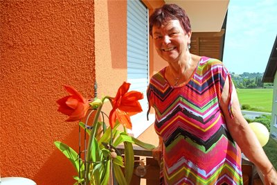 Auf dem Balkon in der Händelstraße blüht eine Amaryllis mitten im Sommer.