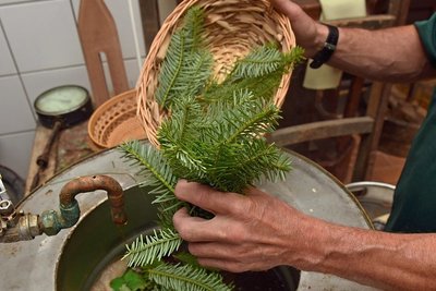 Kräuter aus der Region wie Giersch und Tannenspitz sollen für den rauchigen Geschmack sorgen und einen Eindruck von der Braukunst des Mittelalters liefern.