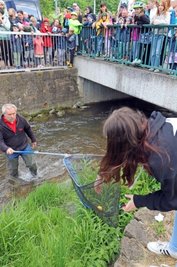Das Ü-Ei-Wettschwimmen auf der Gimmlitz bereitete vor allem den Kindern viel Freude.