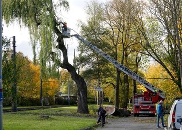 In Höhe der Adelsbergstraße drohten Teile eines Baumes auf die Straßenbahnstrecke der Linie 5 zu fallen. Die Feuerwehr griff ein.