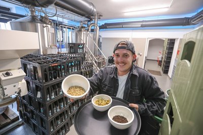 Die Zutaten des Bieres: Gerste, Hopfen und Malz.