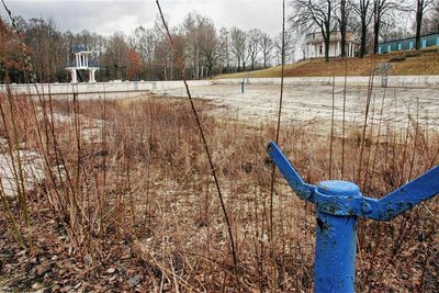 Wird das ehemalige Stadtbad als Naturbad wiederbelebt? Darüber entscheidet der Rat am Montag. Momentan ist das Gelände auf dem Weg zum Biotop. 