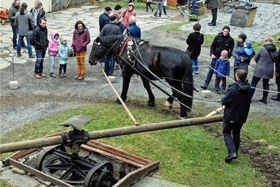 Warmblut Egon sorgte für den Antrieb der Mechanik in der Scheune und Tenne, Claudia Rülke motivierte den Vierbeiner. 
