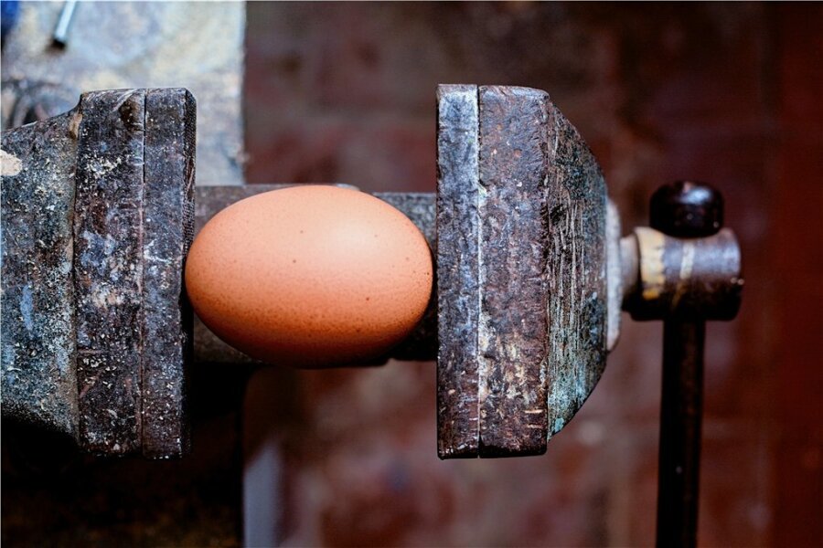 In Krisenzeiten ist Stabilität gefragt: Dieses Ei zeigt Widerstandskraft. 