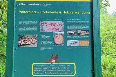 Informationstafel an einem Polterplatz bei Beerheide zu den Markierungen, denen man im Forst begegnet.