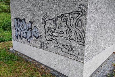 Das sieht man beim Sachsenforst dagegen überhaupt nicht gerne: Graffiti an einem Forstgebäude bei Beerheide.