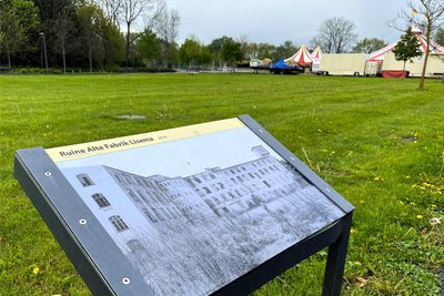 2024: So üppig wie hier in der Zschopauaue war die Blumenpracht der Frühblüher bereits im April vor fünf Jahren. Die übrige Vegetation ließ aber noch auf sich warten. Tafeln erinnerten damals schon an die frühere Industriebrache der Lisema, diese Hinweise findet man auch heute noch, Blumen aber nur noch wenige.