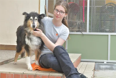 Collie-Hündin Kessy hatte es bei ihrem Besitzer nicht leicht. Nun wird sie im Tierheim „Albert Schweizer " in Freiberg unter anderem von Jasmin Lange umsorgt. Die Schülerin absolviert hier ein Praktikum.