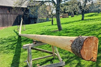 Wer macht denn so etwas? Der knapp 20 Meter lange Kleingeraer Maibaum ist durchgesägt worden. Jetzt ist guter Rat teuer. 