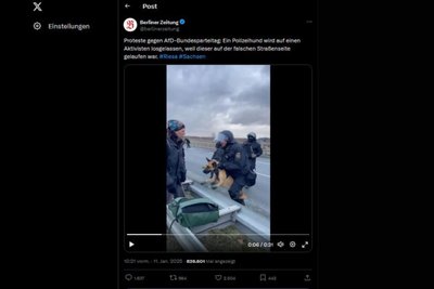 Der Polizeihund wusste nicht, wie ihm geschah. Der Hundeführer auf der Riesaer Elbbrücke der B169 warf das Tier dem Demonstranten regelrecht entgegen. So sehr, dass der Demonstrant um den Hund bangen musste. Das Video wurde auf der Plattform X von der „Berliner Zeitung“ eingestellt.