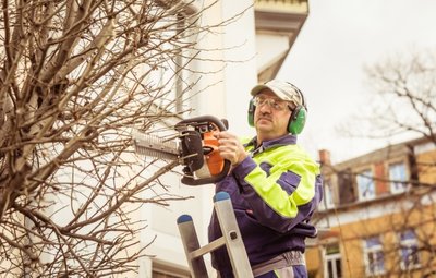 Sven Jähnichen von der gleichnamigen Hausmeisterei verpasst Bäumen den richtigen Schnitt. Von solchen Hausmeisterdiensten, die auf die Miete umgelegt werden, sind 20 Prozent der Arbeitskosten absetzbar.