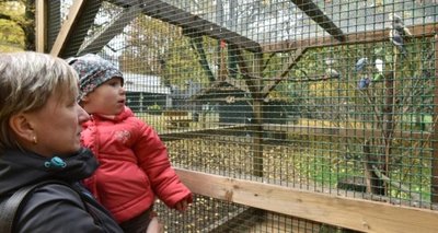 Der Freiberger Zoo erhält 6500 Euro, um einen Mini-Zoo bauen.