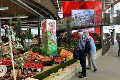 2019: Aus einer früheren Produktionshalle entstand für die Gartenschau zunächst die Blumenhalle, in der dann danach das Museum Zeitwerkstadt zur Industriegeschichte eingerichtet wurde. Zu sehen sind dort viele Framo- und Barkas-Fahrzeuge. Alleinstellungsmerkmal: der begehbare Videowürfel Timecube. Aktuell ist noch eine Sonderausstellung zur Geschichte der Sparkasse zu sehen.