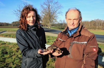 Katarina Ungethüm und Rainer Tschaschke kontrollieren täglich den Krötenzaun an der Trieber Straße.