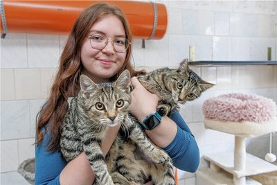 Nathalie Wagner vom Tierheim "Neu-Amerika" mit Palina und Pepino. Die jungen Katzen sollen im Doppelpack vermittelt werden. 