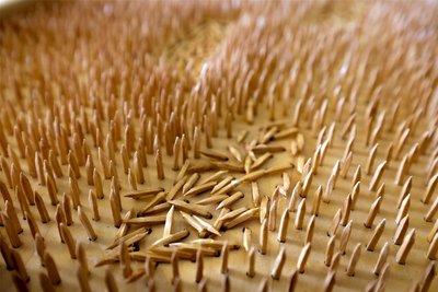 Etwa 7000 Holzspitzen wurden in diesem Kunstwerk verarbeitet. Umgetretene Spitzen zeigen die hinterlassenen Fußspuren.