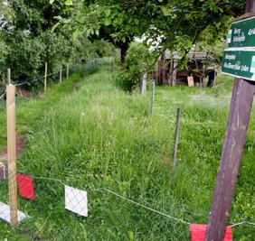 Wanderweg 