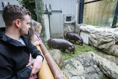 Ein Besuch des Chemnitzer Tierparks kostet bald deutlich mehr. Erstmals seit 15 Jahren steigt der Eintrittspreis.