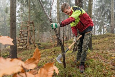 Waldarbeit im Erzgebirge ist trotz vielfältiger Technik immer noch ein Knochenjob: Hier arbeitet Forstwirt Marcel Knüpfer mit einer sogenannten Heppe im Waldteil Börnichen des Forstreviers Borstendorf. 