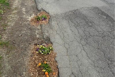 Auch der Straßenrand ist in die blumige Kritik einbezogen worden.