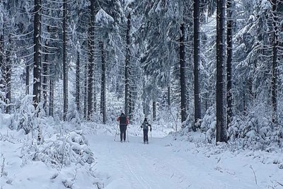 Nur selten lag im vergangenen Winter in Mühlleithen so viel Schnee, dass Langläufer die Kammloipe nutzen konnten. Dadurch wurde auch der Parkplatz am Pass weniger genutzt, was zu Einnahmeausfällen führte.