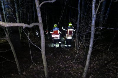 Mehrere Stunden lang suchten Einsatzkräfte nach einem Beifahrer, der sich laut Zeugen vom Unfallort entfernt haben soll.