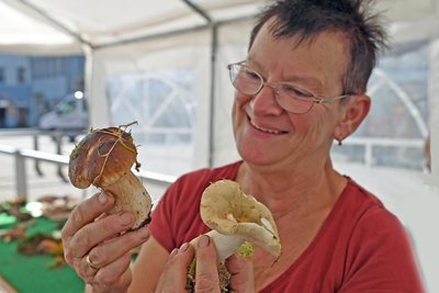 Stefanie Kobrow mit gesammelten Steinpilz und Täubling.