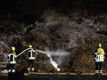 Die Feuerwehr konnte das Feuer am Abend löschen.