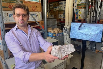 Ilja Kogan vom Naturkundemuseum zeigt einen Fund aus dem "Fenster der Erdgeschichte", die in der Stadtwirtschaft gelagert werden.
