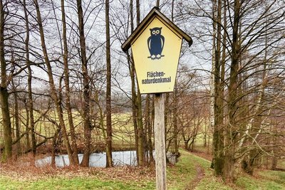 Bei dem Areal "Im Zipfel" im erzgebirgischen Auerbach handelt es sich um ein Flächennaturdenkmal.