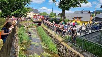 160 Teilnehmer hat das Entenrennen am Samstag gezählt. 