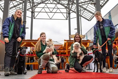 Die Mitarbeiterinnen des Chemnitzer Tierheims mit den Hunden, die sie zur Aktion mit ins Chemnitz Center gebracht hatten.