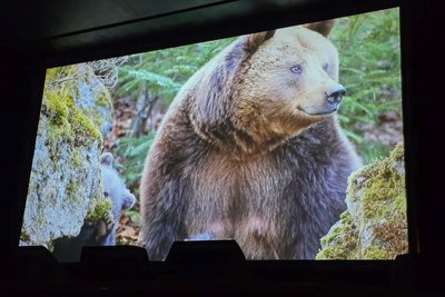 Andreas Kieling berichtete beim Weltblicke-Festival in der Festhalle Plauen unter anderem von seinen Begegnungen mit Bären.